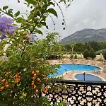 Отель Elamir 4*