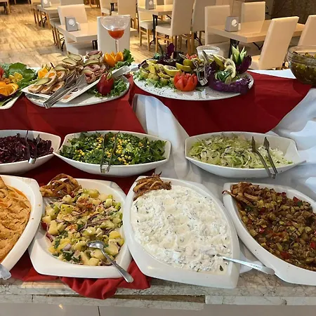 Hotel Elamir