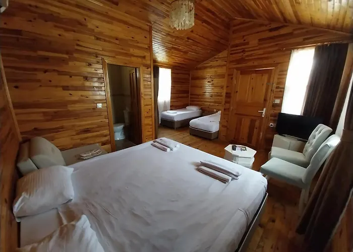 Hotel Elamir 4*