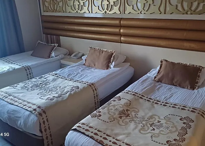 Hotel Elamir