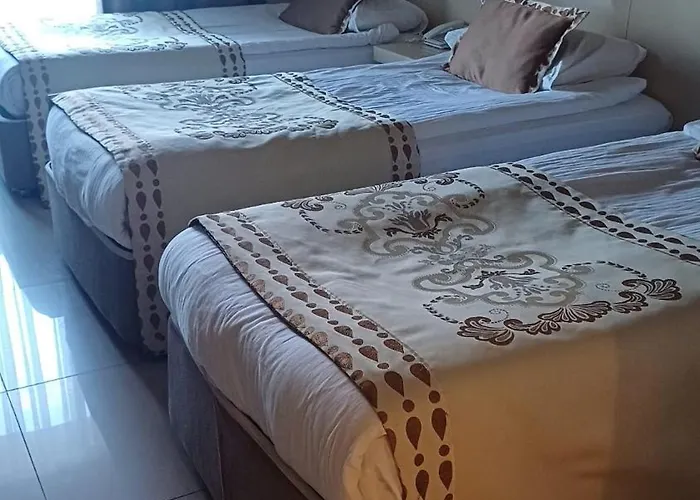 Elamir