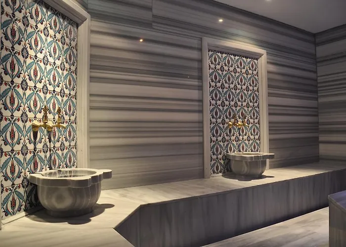 Hotel Elamir 4*