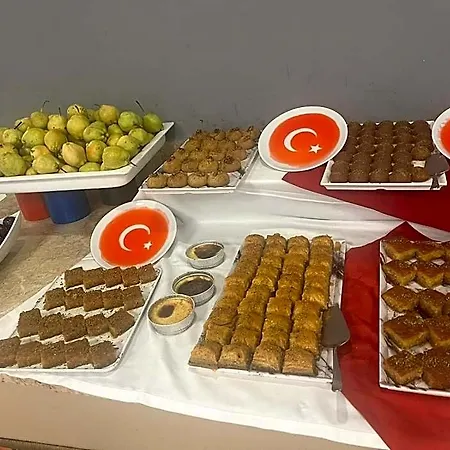 Elamir Otel 4*