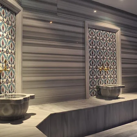 Hotel Elamir 4*