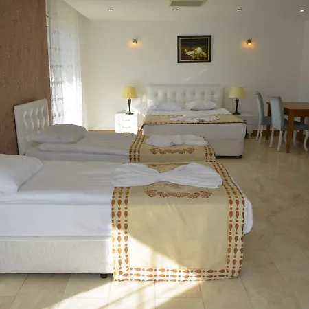 Hotel Elamir