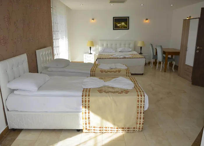 Hotel Elamir