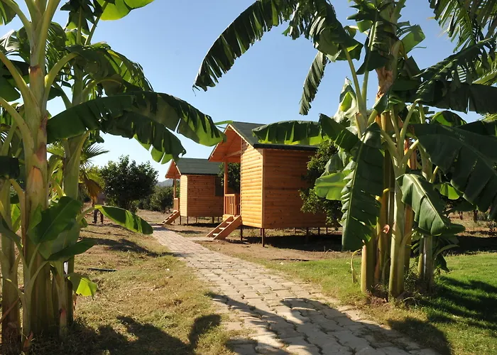 Hotel Elamir