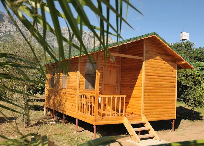 Hotel Elamir