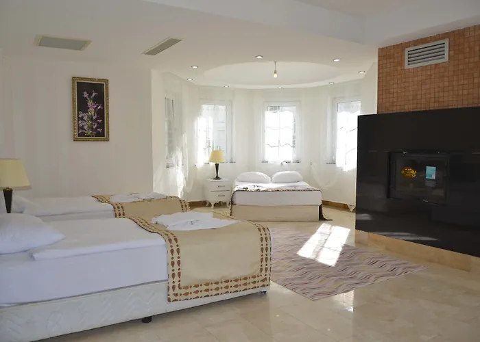 Hotel Elamir
