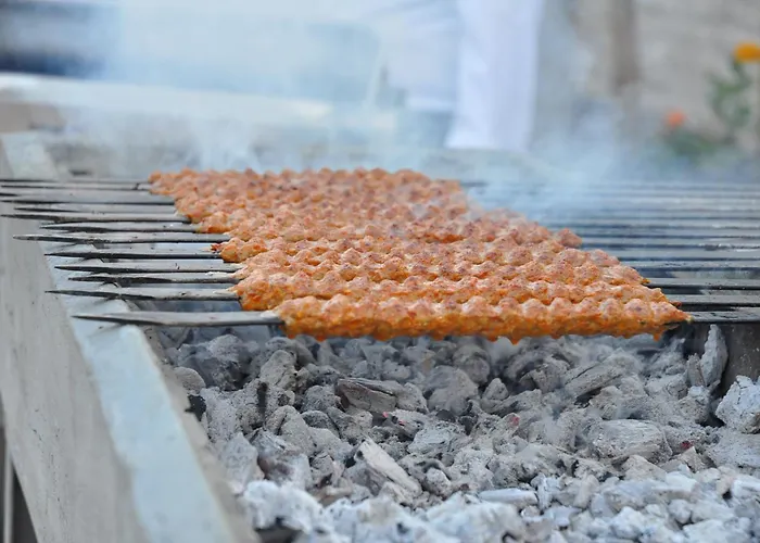 فندق Elamir